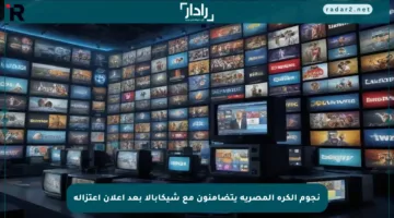نجوم الكرة المصرية يتضامنون مع شيكابالا بعد إعلان اعتزاله